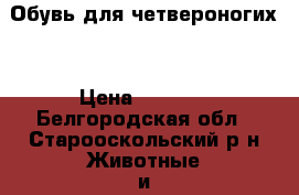 Обувь для четвероногих  › Цена ­ 1 300 - Белгородская обл., Старооскольский р-н Животные и растения » Аксесcуары и товары для животных   . Белгородская обл.